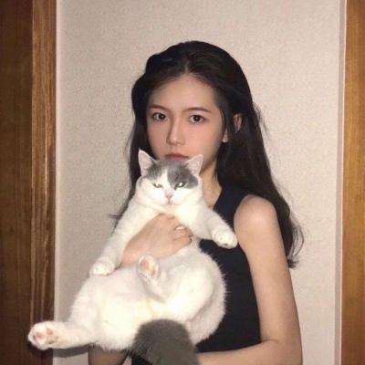 七剑情缘内购破解版下载